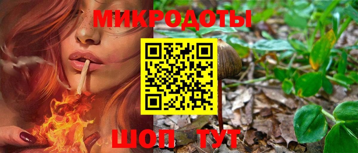 Псилоцибиновые грибы GOLDEN TEACHER  Вход с VPN  Уссурийск 